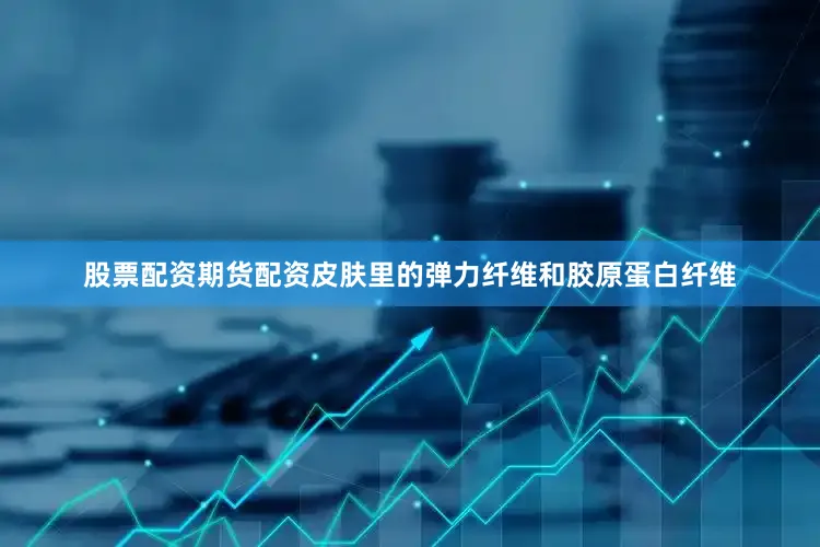 股票配资期货配资皮肤里的弹力纤维和胶原蛋白纤维